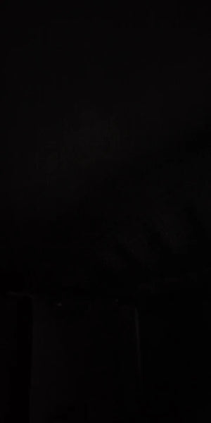 A6f18a665c4bb4a78b3fa3846327907d5V.jpg